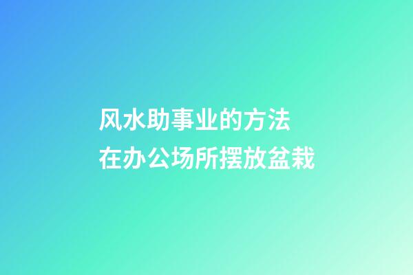 风水助事业的方法 在办公场所摆放盆栽